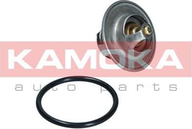 Thermostat, coolant 7710063 - image 6