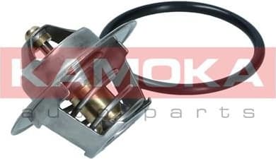 Thermostat, coolant 7710063 - image 8