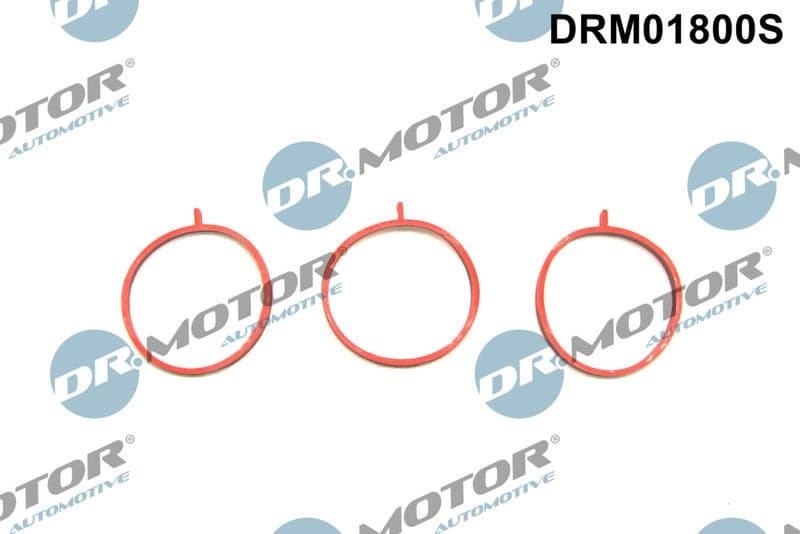 Gasket Set, intake manifold DRM01800S