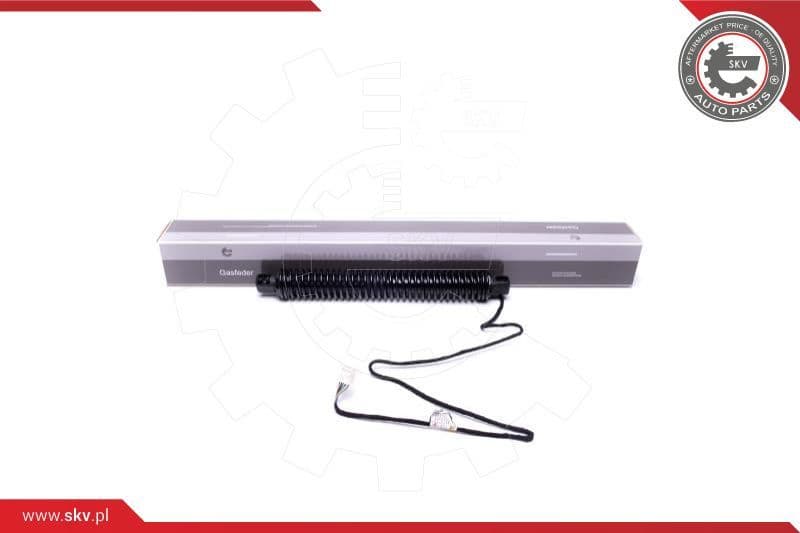 Electric Motor, tailgate 52SKV934