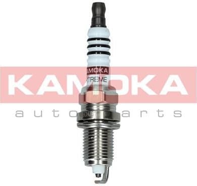Spark Plug 7090538 - image 2