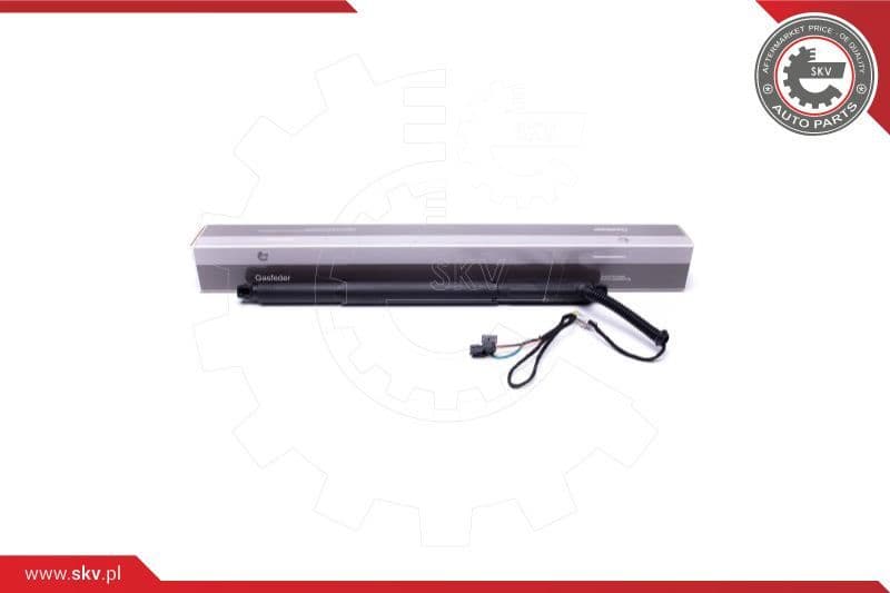 Electric Motor, tailgate 52SKV925