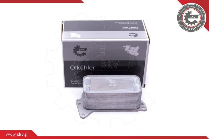 Oil Cooler, engine oil 31SKV222