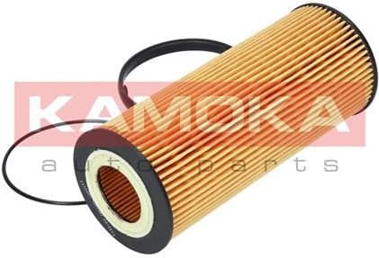 Oil Filter F110601 - image 6