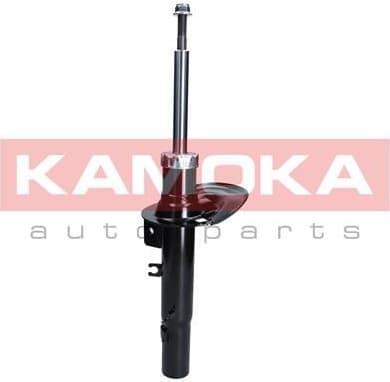 Shock absorber front 2000507