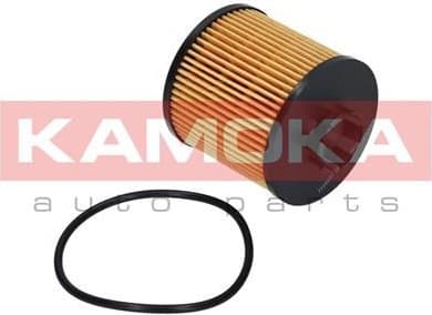 Oil Filter F109801 - image 6