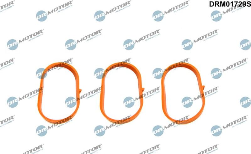 Gasket Set, intake manifold DRM01729S