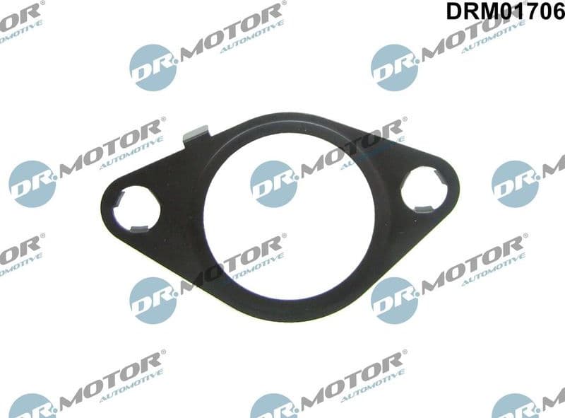 Gasket, EGR valve DRM01706
