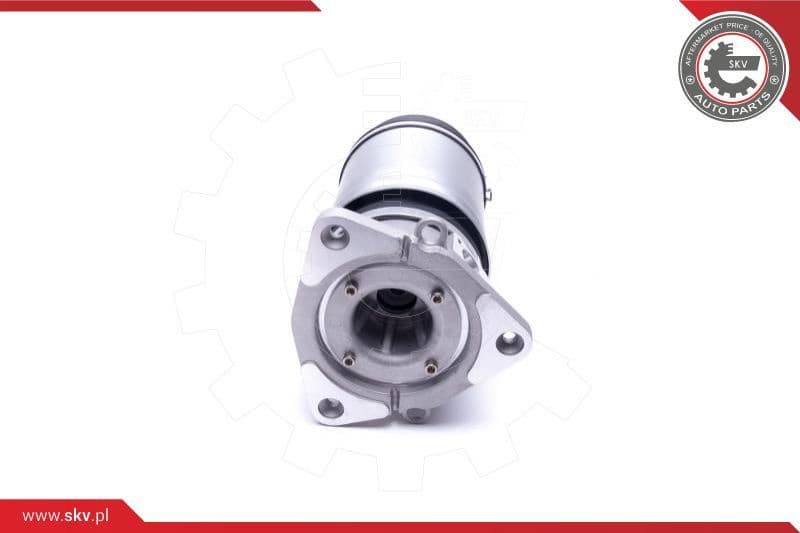 Air Suspension Strut 58SKV068 - image 3