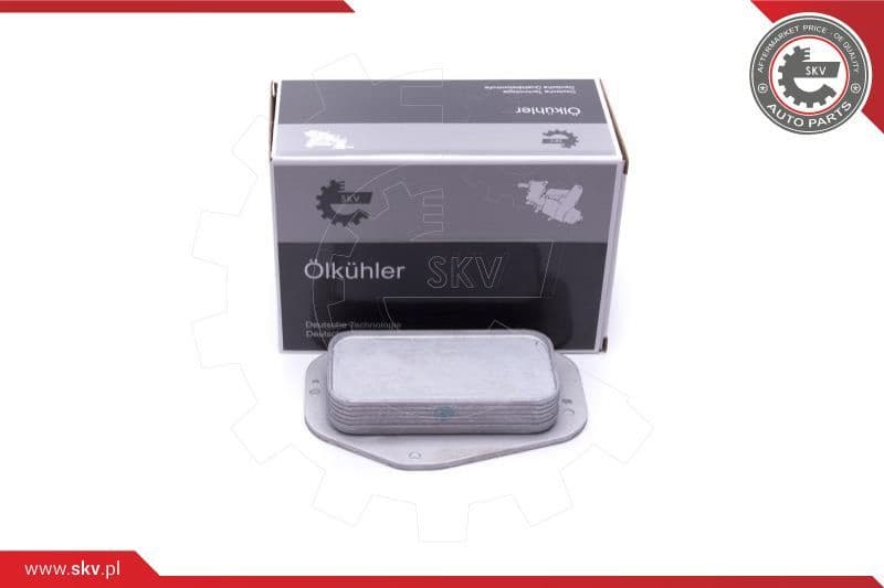 Oil Cooler, engine oil 31SKV231