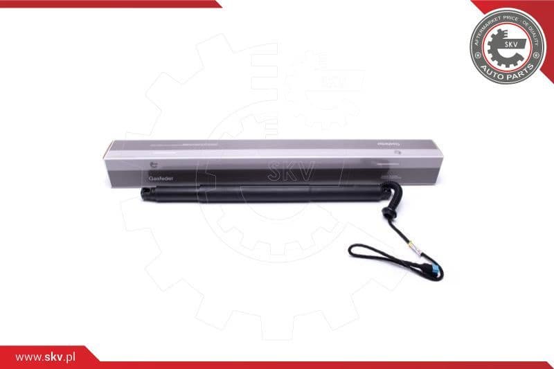 Electric Motor, tailgate 52SKV935