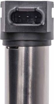 ritė, uždegimas - image 7