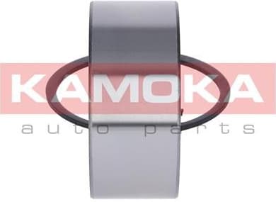 Wheel Bearing Kit 5600076 - image 8