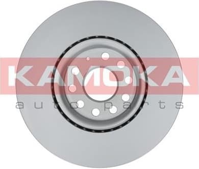 Brake discs kit front (2pcs) 103308 - image 2
