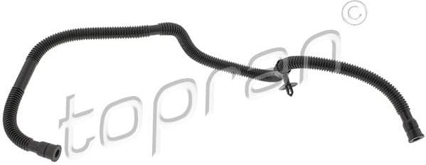 Hose, cylinder head cover ventilation 118 663