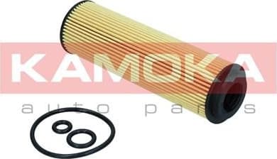 Oil Filter F109001 - image 6