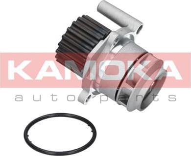 Water Pump, engine cooling T0023 - image 6