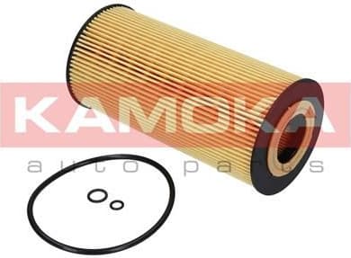 Oil Filter F112601 - image 6