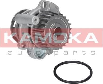 Water Pump, engine cooling T0033 - image 5
