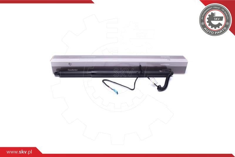 Electric Motor, tailgate 52SKV930