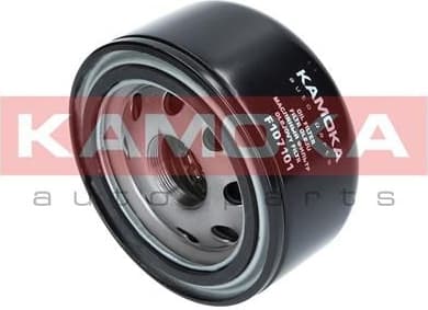 Oil Filter F107101 - image 5