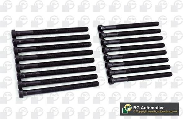 Cylinder Head Bolt Set BK3369