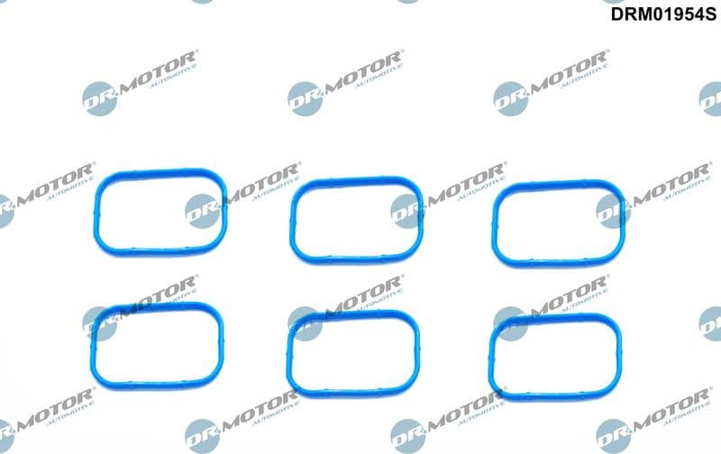 Gasket Set, intake manifold DRM01954S