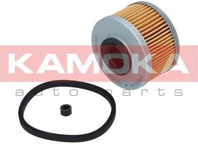 Fuel Filter F303101 - image 6