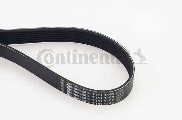 V-ribbed Belt 7PK1165