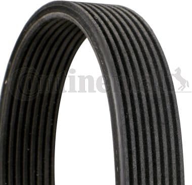 V-ribbed Belt 8DPK1827