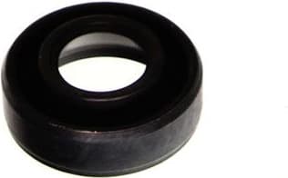 Seal Ring, injector 70-0171