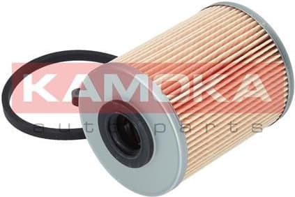 Fuel Filter F301101 - image 7