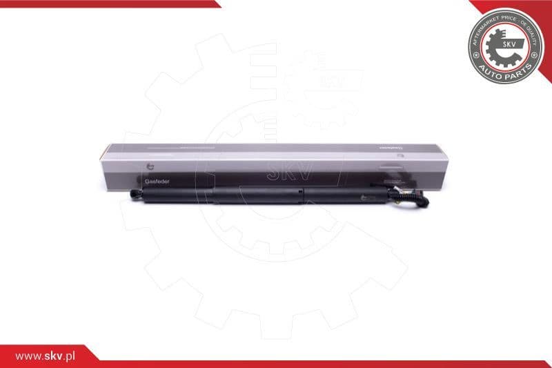 Electric Motor, tailgate 52SKV901