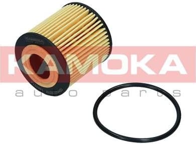 Oil Filter F120901 - image 5