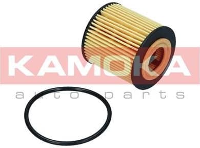 Oil Filter F120901 - image 6