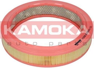 Air Filter F200301 - image 5