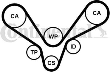 Timing Belt CT1015 - image 2