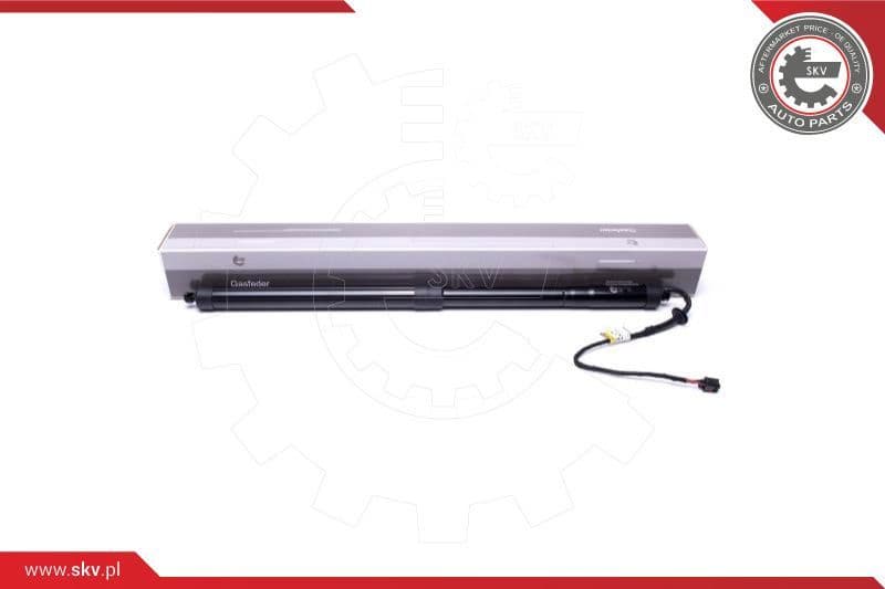 Electric Motor, tailgate 52SKV910