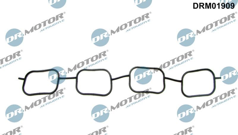 Gasket, intake manifold DRM01909