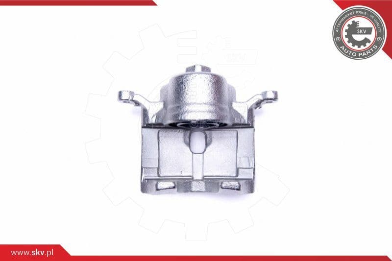 Brake Caliper 45SKV012
