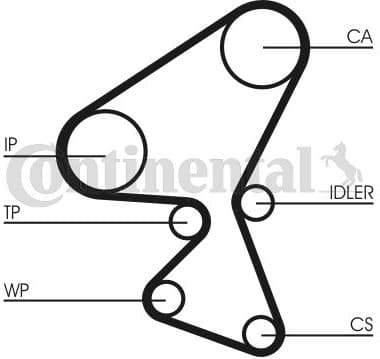 Timing Belt CT1092 - image 2