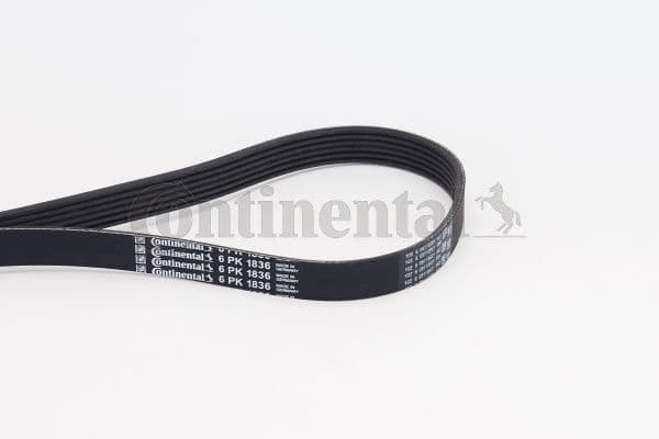 V-ribbed Belt 6PK1836