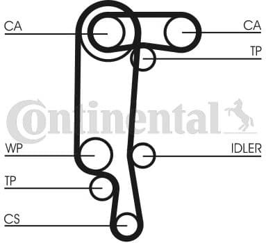 Water Pump & Timing Belt Kit CT957WP3 - image 2