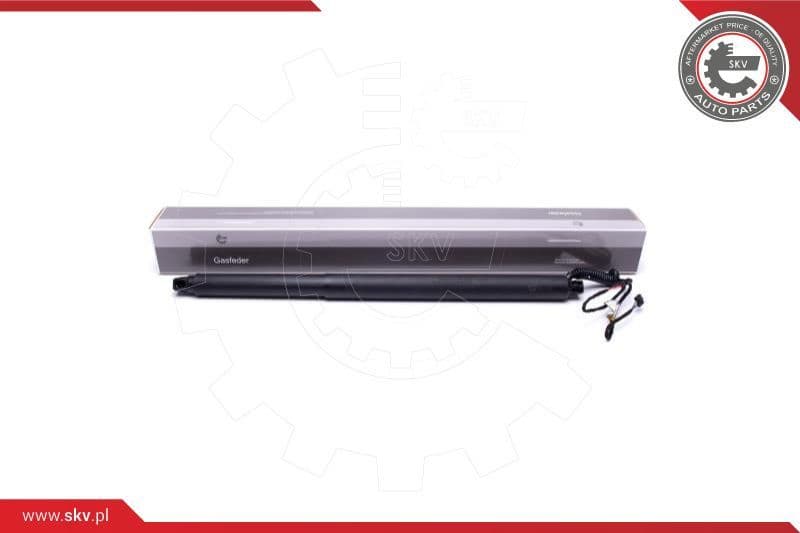 Electric Motor, tailgate 52SKV941