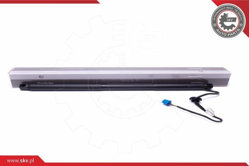 Electric Motor, tailgate 52SKV948