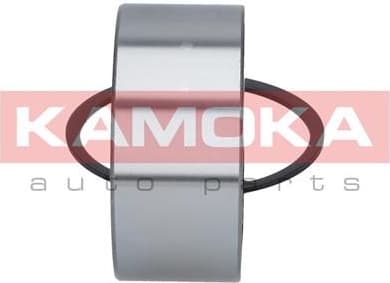 Wheel Bearing Kit 5600038 - image 8