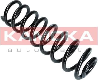 Suspension Spring 2110369 - image 8