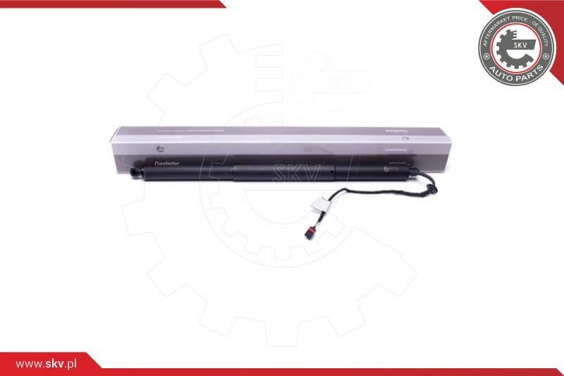 Electric Motor, tailgate 52SKV907