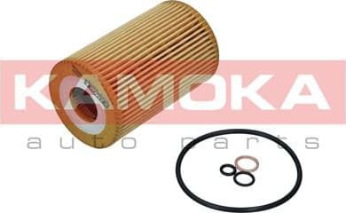 Oil Filter F121701