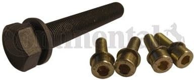 Bolt Set, crankshaft pulley MS10